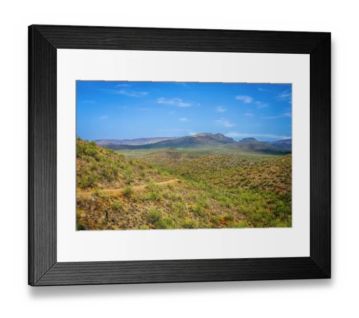 Framed Print : Saguaro cactus and other plants suited for extremely dry conditions typify the Sonoran desert Framed Print : Saguaro cactus and other plants suited for extremely dry conditions typify the Sonoran desert