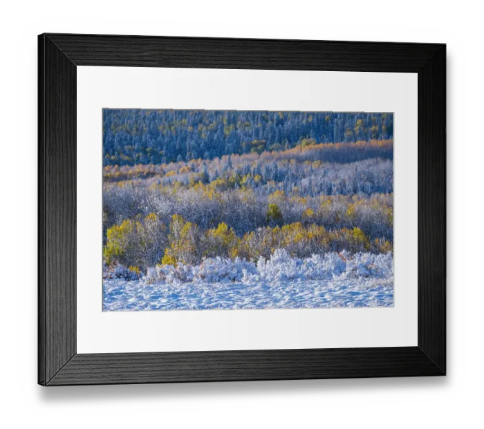 Framed Print : USA, Colorado, Rocky Mountain National Park, late fall