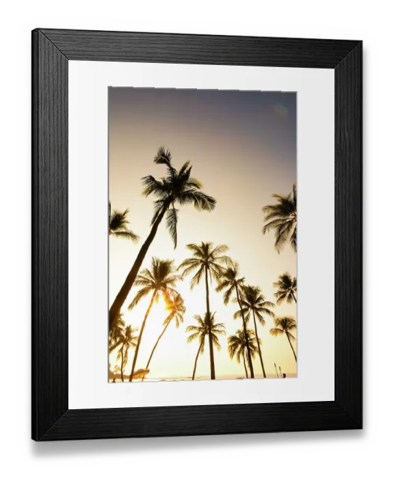 Framed Print : Palm trees over beach, Kona, Hawaii, USA Framed Print : Palm trees over beach, Kona, Hawaii, USA