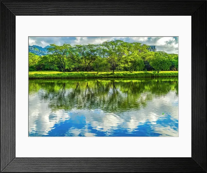 Framed Print : Colorful Ala Wai Canal reflection, Honolulu, Oahu, Hawaii Framed Print : Colorful Ala Wai Canal reflection, Honolulu, Oahu, Hawaii
