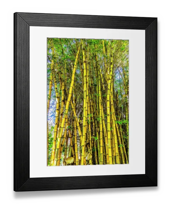 Framed Print : Golden Hawaiian painted bamboo, Waikiki, Honolulu, Oahu, Hawaii Framed Print : Golden Hawaiian painted bamboo, Waikiki, Honolulu, Oahu, Hawaii