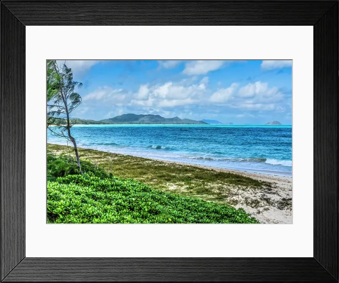 Framed Print : Colorful Kailua Beach Park Oahu, Hawaii Framed Print : Colorful Kailua Beach Park Oahu, Hawaii