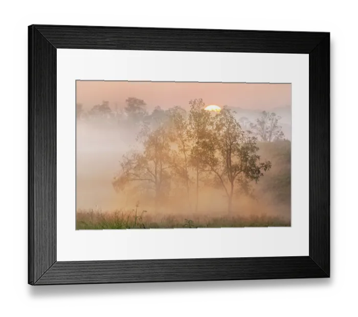 Framed Print : Foggy sunrise, Oldham County, Kentucky Framed Print : Foggy sunrise, Oldham County, Kentucky