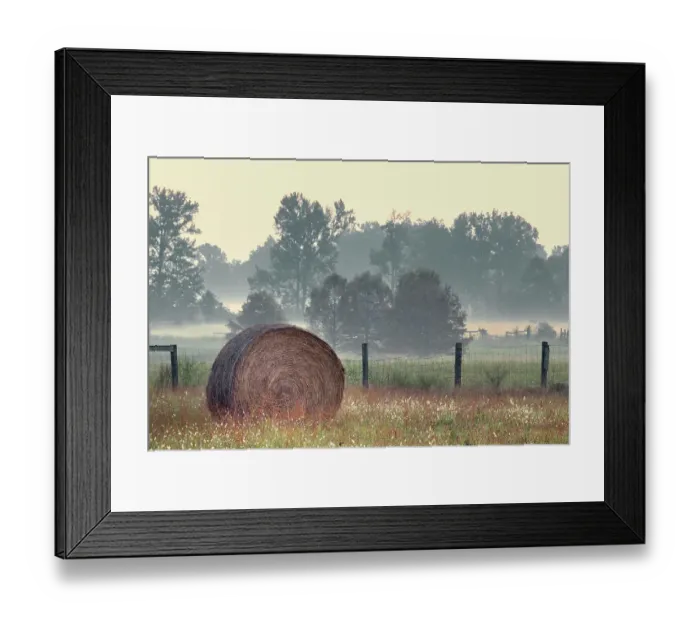 Framed Print : Hay bale in rural farm field, Oldham County, Kentucky