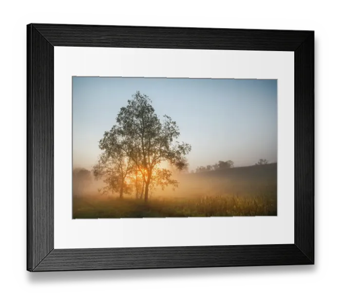 Framed Print : Foggy sunrise, Oldham County, Kentucky Framed Print : Foggy sunrise, Oldham County, Kentucky