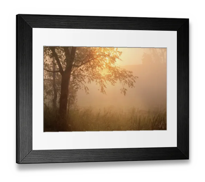 Framed Print : Foggy sunrise, Oldham County, Kentucky Framed Print : Foggy sunrise, Oldham County, Kentucky