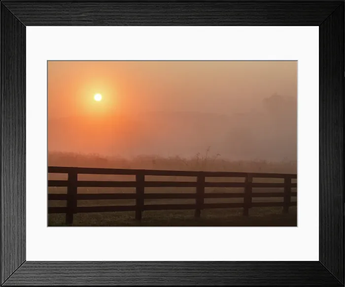 Framed Print : Black fence on horse farm at sunrise on foggy morning, Oldham County, Kentucky Framed Print : Black fence on horse farm at sunrise on foggy morning, Oldham County, Kentucky