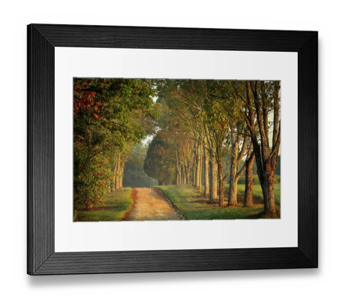 Framed Print : Roadway and fences on horse farm at sunrise, Oldham County, Kentucky