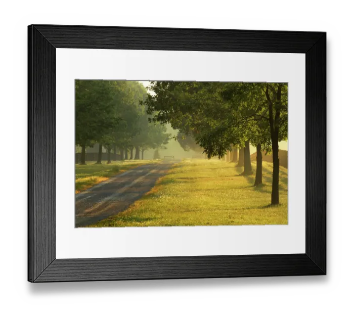 Framed Print : Roadway and fences on horse farm at sunrise on foggy morning, Oldham County, Kentucky Framed Print : Roadway and fences on horse farm at sunrise on foggy morning, Oldham County, Kentucky