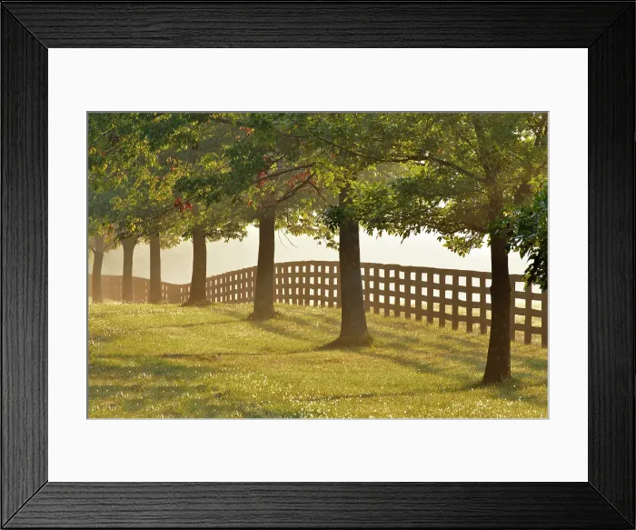 Framed Print : Black fences on horse farm at sunrise on foggy morning, Oldham County, Kentucky Framed Print : Black fences on horse farm at sunrise on foggy morning, Oldham County, Kentucky