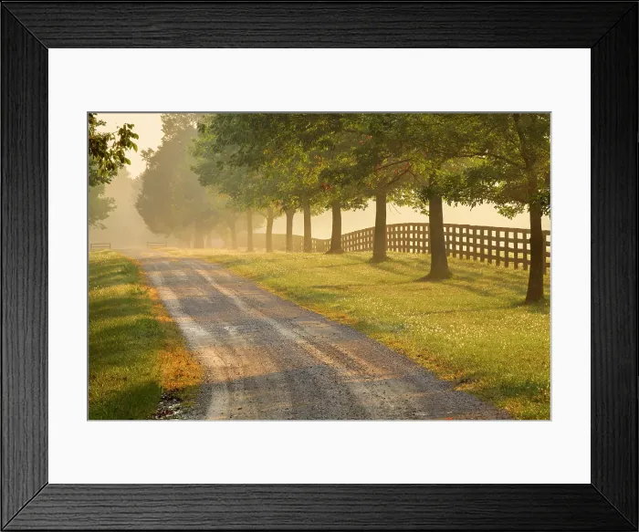 Framed Print : Roadway and fences on horse farm at sunrise on foggy morning, Oldham County, Kentucky Framed Print : Roadway and fences on horse farm at sunrise on foggy morning, Oldham County, Kentucky
