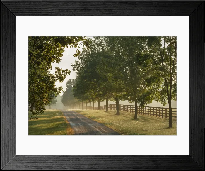 Framed Print : Roadway and fences on horse farm at sunrise on foggy morning, Oldham County, Kentucky