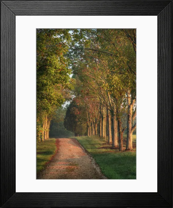 Framed Print : Roadway and fences on horse farm at sunrise, Oldham County, Kentucky Framed Print : Roadway and fences on horse farm at sunrise, Oldham County, Kentucky