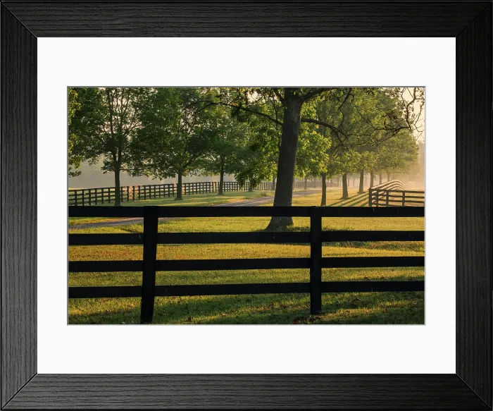 Framed Print : Black fences on horse farm at sunrise on foggy morning, Oldham County, Kentucky Framed Print : Black fences on horse farm at sunrise on foggy morning, Oldham County, Kentucky