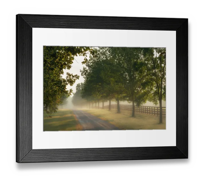 Framed Print : Roadway and fences on horse farm at sunrise on foggy morning, Oldham County, Kentucky