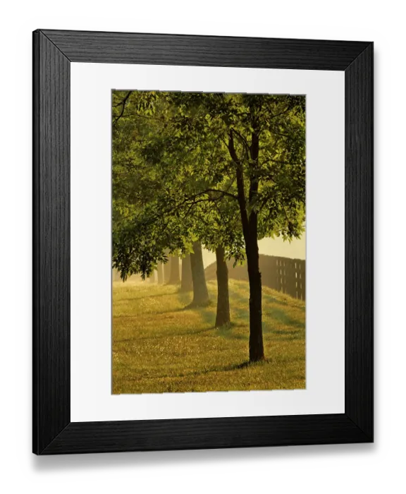 Framed Print : Black fences on horse farm at sunrise on foggy morning, Oldham County, Kentucky Framed Print : Black fences on horse farm at sunrise on foggy morning, Oldham County, Kentucky