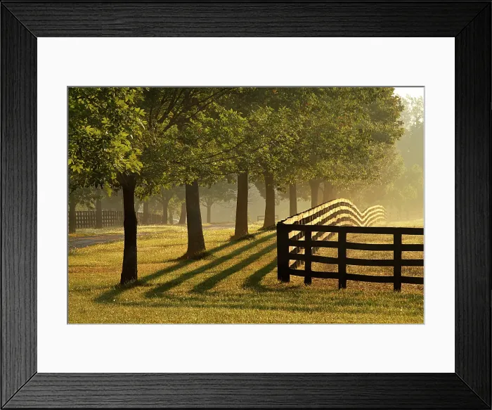 Framed Print : Black fences on horse farm at sunrise on foggy morning, Oldham County, Kentucky Framed Print : Black fences on horse farm at sunrise on foggy morning, Oldham County, Kentucky