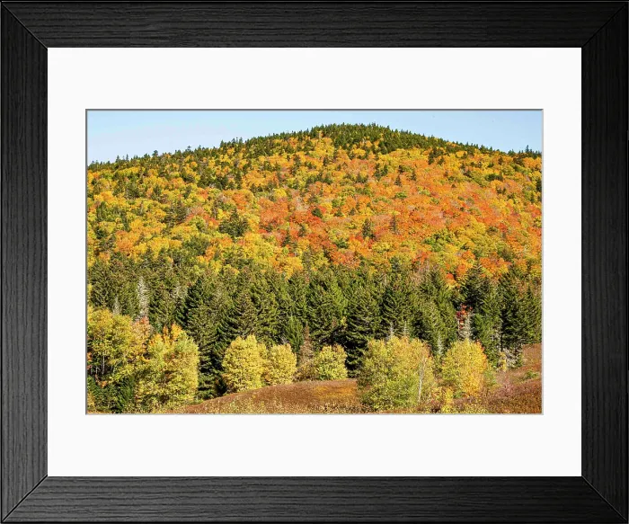 Framed Print : USA, New Hampshire. Mount Washington, Bretton Woods Resort, fall foliage at foot of Mt. Washington Framed Print : USA, New Hampshire. Mount Washington, Bretton Woods Resort, fall foliage at foot of Mt. Washington