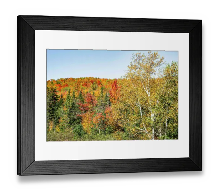 Framed Print : USA, New Hampshire. Mount Washington, Bretton Woods Resort, fall foliage at foot of Mt. Washington
