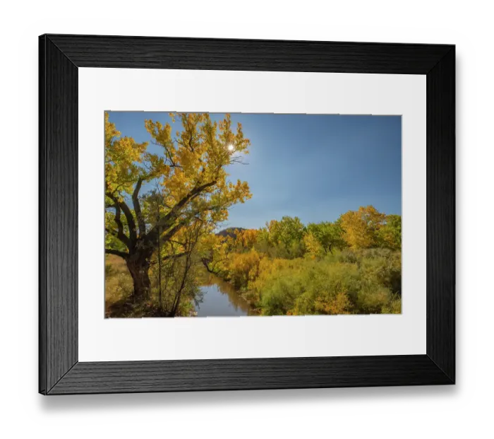 Framed Print : USA, New Mexico, Jemez National Recreation Area. Sun star and cottonwood trees around stream. ©Cathy & Gordon Illg  /  Jaynes Gallery  /  DanitaDelimont.com