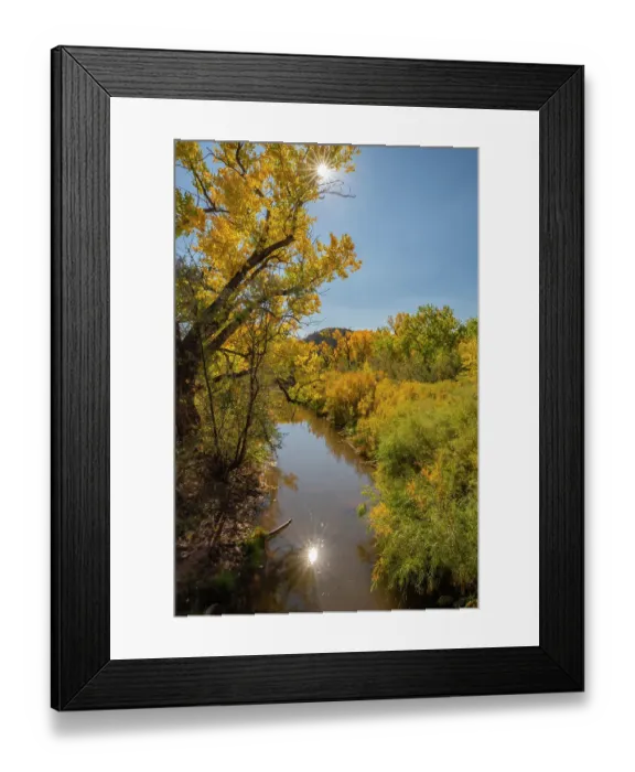 Framed Print : USA, New Mexico, Jemez National Recreation Area. Sun reflection and cottonwood trees around stream. ©Cathy & Gordon Illg / Jaynes Gallery / DanitaDelimont.com Framed Print : USA, New Mexico, Jemez National Recreation Area. Sun reflection and cottonwood trees around stream. ©Cathy & Gordon Illg / Jaynes Gallery / DanitaDelimont.com