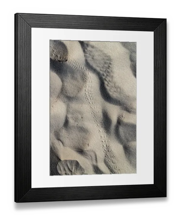 Framed Print : Animal tracks at White Sands National Park