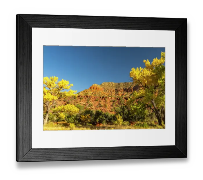 Framed Print : USA, New Mexico, Jemez National Recreation Area. Cliff and cottonwood trees in autumn. ©Cathy & Gordon Illg / Jaynes Gallery / DanitaDelimont.com Framed Print : USA, New Mexico, Jemez National Recreation Area. Cliff and cottonwood trees in autumn. ©Cathy & Gordon Illg / Jaynes Gallery / DanitaDelimont.com