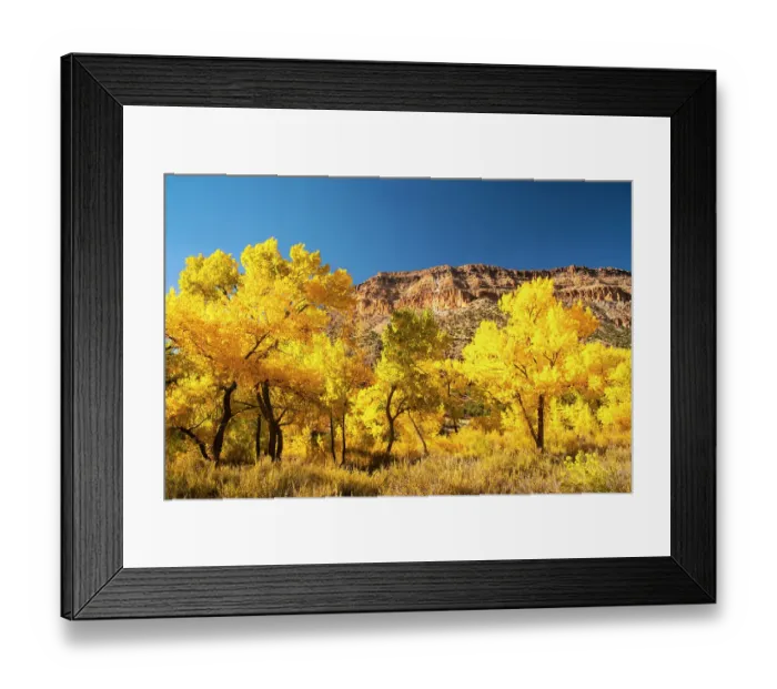 Framed Print : USA, New Mexico, Jemez National Recreation Area. Cliff and cottonwood trees in autumn. ©Cathy & Gordon Illg / Jaynes Gallery / DanitaDelimont.com Framed Print : USA, New Mexico, Jemez National Recreation Area. Cliff and cottonwood trees in autumn. ©Cathy & Gordon Illg / Jaynes Gallery / DanitaDelimont.com