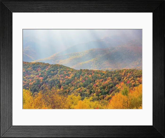 Framed Print : USA, North Carolina, Blue Ridge Parkway. Landscape overview of forested hills in autumn. ©Don Paulson / Jaynes Gallery / DanitaDelimont.com Framed Print : USA, North Carolina, Blue Ridge Parkway. Landscape overview of forested hills in autumn. ©Don Paulson / Jaynes Gallery / DanitaDelimont.com