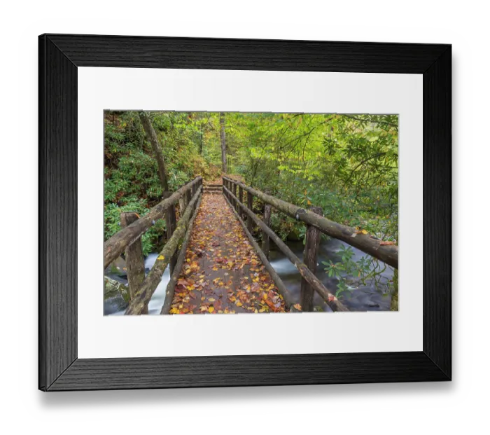Framed Print : USA, North Carolina, Joyce Kilmer Memorial Forest. Wooden bridge over stream. ©Don Paulson  /  Jaynes Gallery  /  DanitaDelimont.com