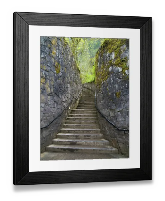 Framed Print : Oregon, USA. Columbia River Gorge National Scenic Area, stairway