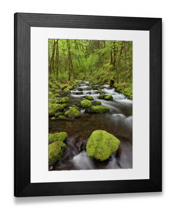 Framed Print : USA, Oregon, Columbia River Gorge. Gorton Creek rapids. ©Don Paulson  /  Jaynes Gallery  /  DanitaDelimont.com