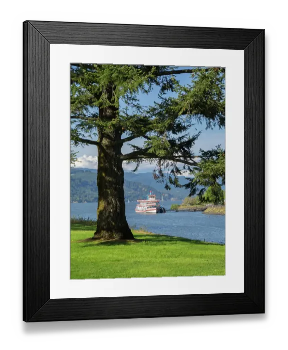 Framed Print : Oregon, USA. Columbia River Gorge National Scenic Area, fir tree with the Columbia Gorge sternwheeler tour boat Framed Print : Oregon, USA. Columbia River Gorge National Scenic Area, fir tree with the Columbia Gorge sternwheeler tour boat