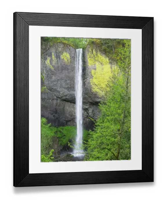 Framed Print : Oregon, USA. Columbia River Gorge National Scenic Area, Latourell Falls Framed Print : Oregon, USA. Columbia River Gorge National Scenic Area, Latourell Falls