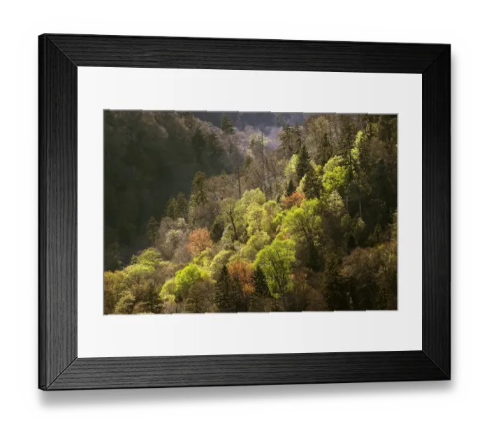 Framed Print : Sunset light on valley from Morton Overlook, Great Smoky Mountains National Park, Tennessee