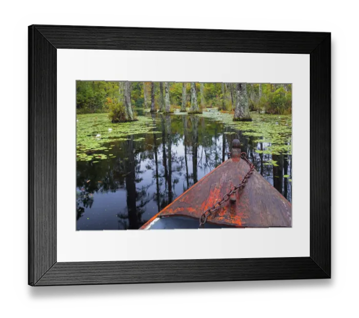 Framed Print : USA, South Carolina, Charleston. Boat in Cypress Gardens. ©Don Paulson  /  Jaynes Gallery  /  DanitaDelimont.com