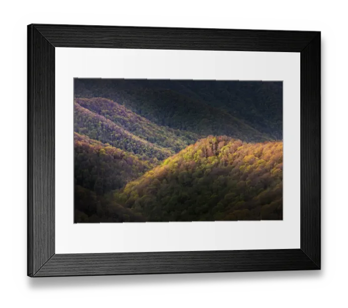 Framed Print : Spring foliage on mountain forest, Great Smoky Mountains National Park, Tennessee Framed Print : Spring foliage on mountain forest, Great Smoky Mountains National Park, Tennessee