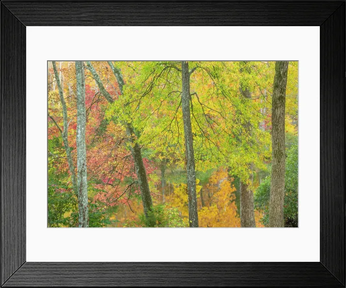 Framed Print : USA, Tennessee, Natchez Trace State Park. Forest and lake in autumn. ©Don Paulson  /  Jaynes Gallery  /  DanitaDelimont.com