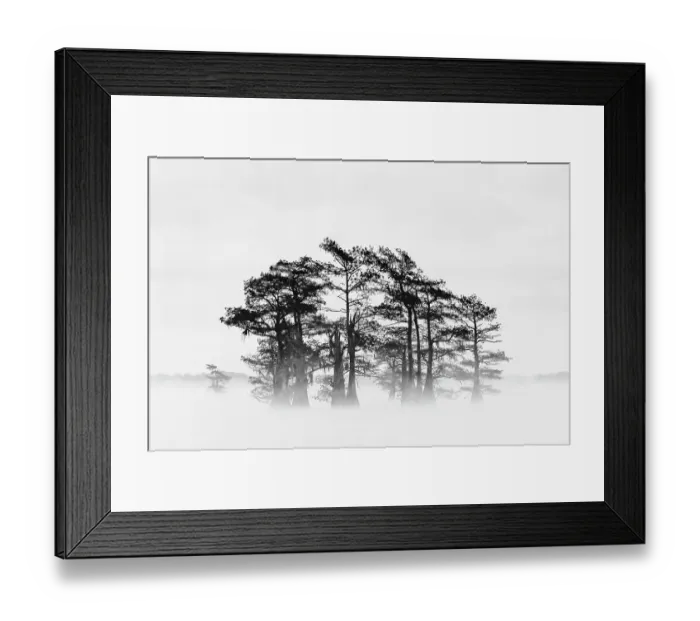 Framed Print : Morning mist and autumn colors on Caddo Lake, Texas Framed Print : Morning mist and autumn colors on Caddo Lake, Texas