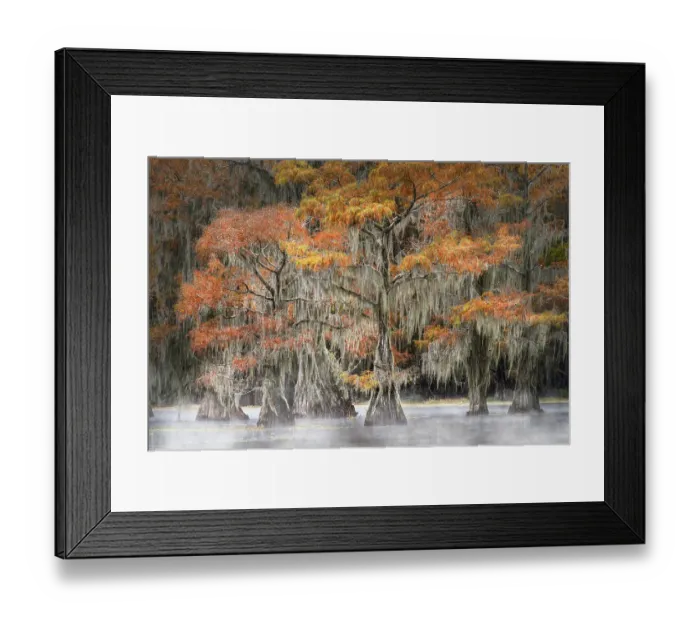 Framed Print : Morning mist on southern swamp, Caddo Lake, Texas Framed Print : Morning mist on southern swamp, Caddo Lake, Texas