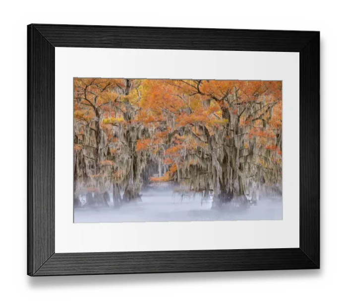 Framed Print : Morning mist on southern swamp, Caddo Lake, Texas Framed Print : Morning mist on southern swamp, Caddo Lake, Texas