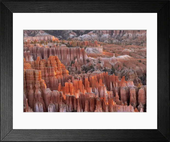 Framed Print : Sunrise at Bryce Canyon National Park, Utah Framed Print : Sunrise at Bryce Canyon National Park, Utah