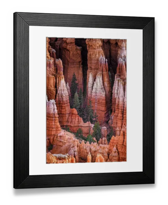Framed Print : Sunrise at Bryce Canyon National Park, Utah Framed Print : Sunrise at Bryce Canyon National Park, Utah