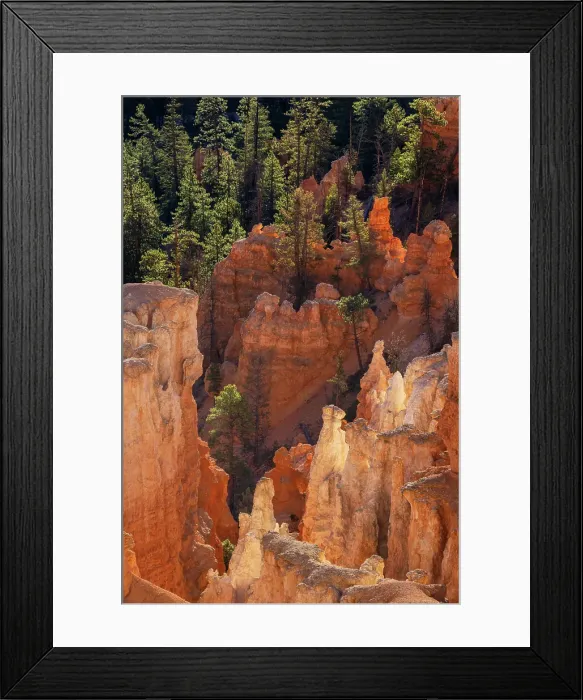 Framed Print : Sunrise at Bryce Canyon National Park, Utah Framed Print : Sunrise at Bryce Canyon National Park, Utah