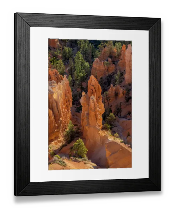 Framed Print : Sunrise at Bryce Canyon National Park, Utah Framed Print : Sunrise at Bryce Canyon National Park, Utah