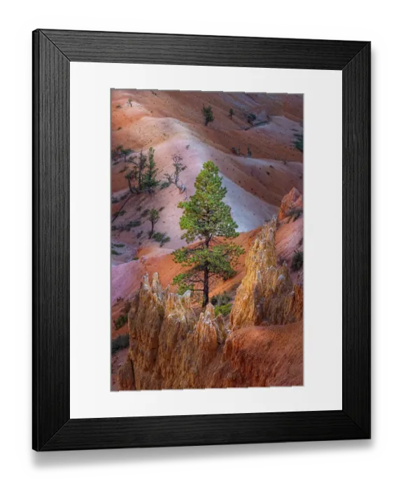 Framed Print : Early morning view of hoodoo formations Bryce Canyon National Park, Utah Framed Print : Early morning view of hoodoo formations Bryce Canyon National Park, Utah