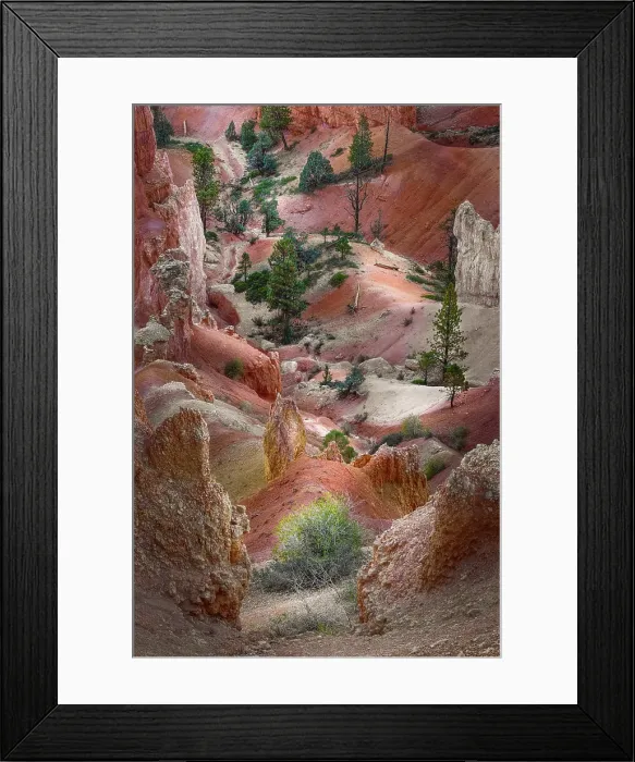 Framed Print : Early morning view of hoodoo formations Bryce Canyon National Park, Utah Framed Print : Early morning view of hoodoo formations Bryce Canyon National Park, Utah
