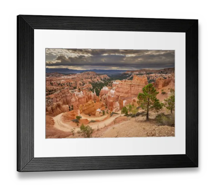 Framed Print : Bryce Canyon, Bryce Canyon National Park, Utah Framed Print : Bryce Canyon, Bryce Canyon National Park, Utah