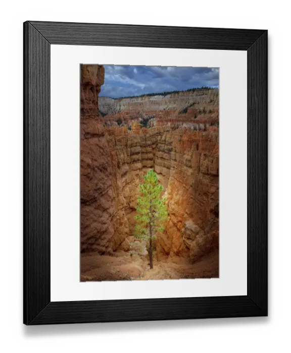 Framed Print : Bryce Canyon, Bryce Canyon National Park, Utah Framed Print : Bryce Canyon, Bryce Canyon National Park, Utah