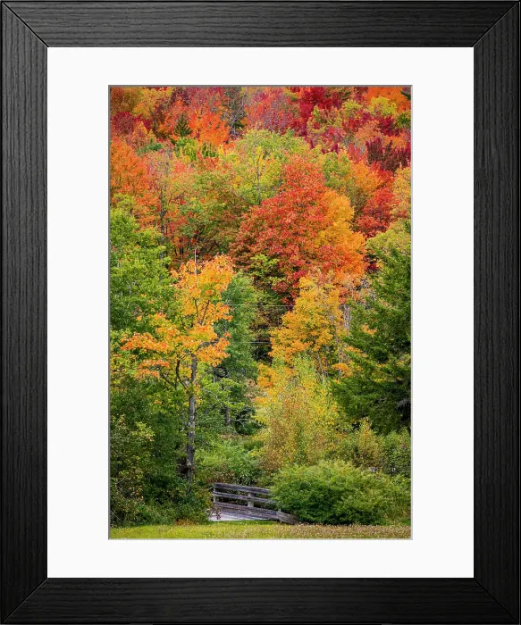 Framed Print : USA, Vermont, Granville. Fall foliage seen from Route 100 in Green Mountains, small bridge leading into the woods Framed Print : USA, Vermont, Granville. Fall foliage seen from Route 100 in Green Mountains, small bridge leading into the woods